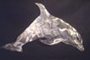 Metal Dolphin