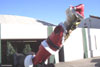 Santa Wheelie Float